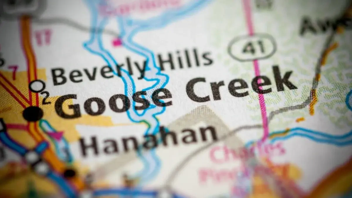 Long Distance & Out of State Movers in Goose Creek, SC: Trusted Moving Experts