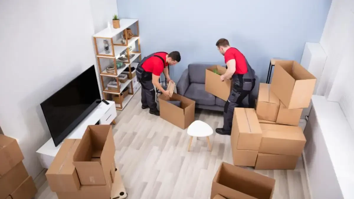 Best Gouverneur Village Movers Near Me Premium Moving Companies