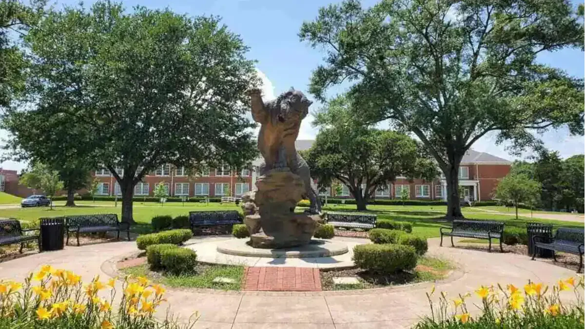 Best Grambling Movers Near Me – Premium Grambling, LA Moving Companies