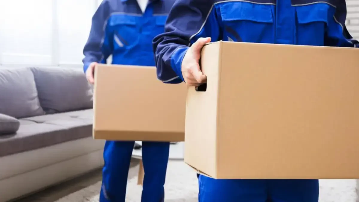 Best Green Lake County Movers Near Me – Premium Green Lake County, WI Moving Companies