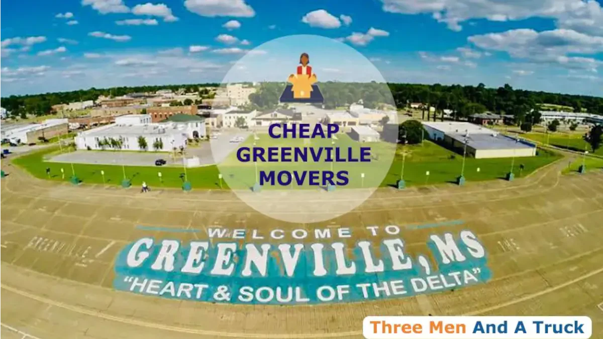 Best Greenville Movers Near Me Premium Moving Companies