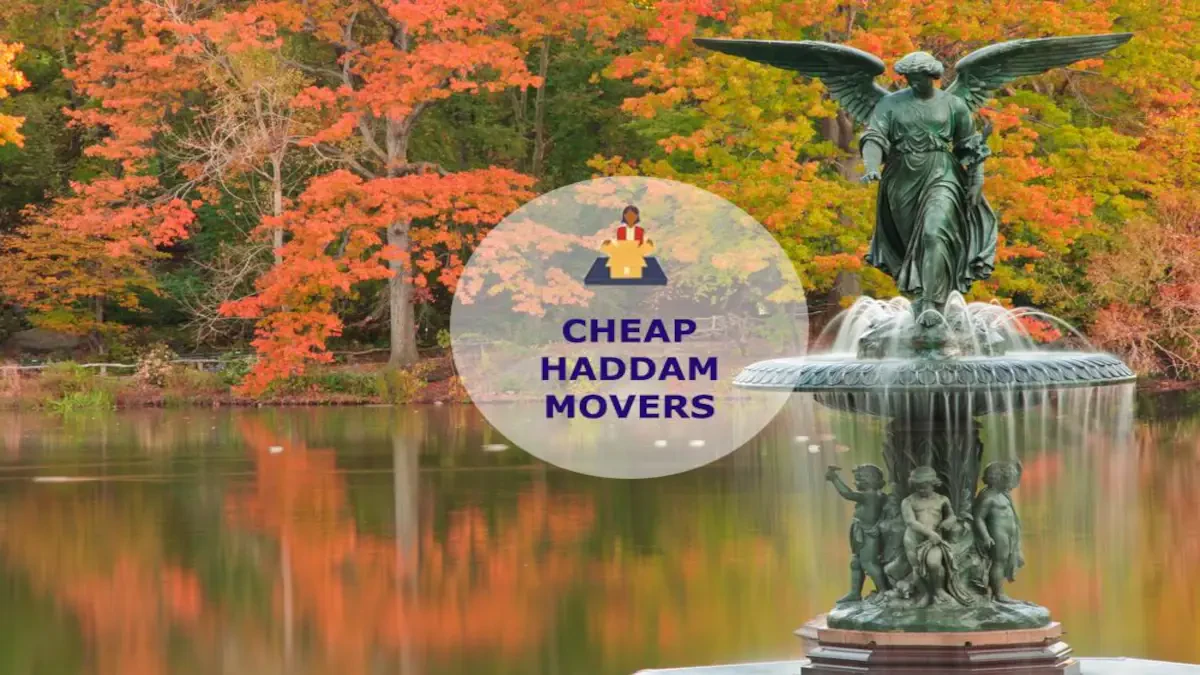 Best Haddam Movers Near Me – Premium Haddam, CT Moving Companies