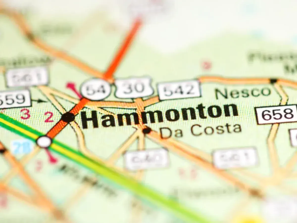 Best Hammonton Movers Near Me – Premium Hammonton, NJ Moving Companies