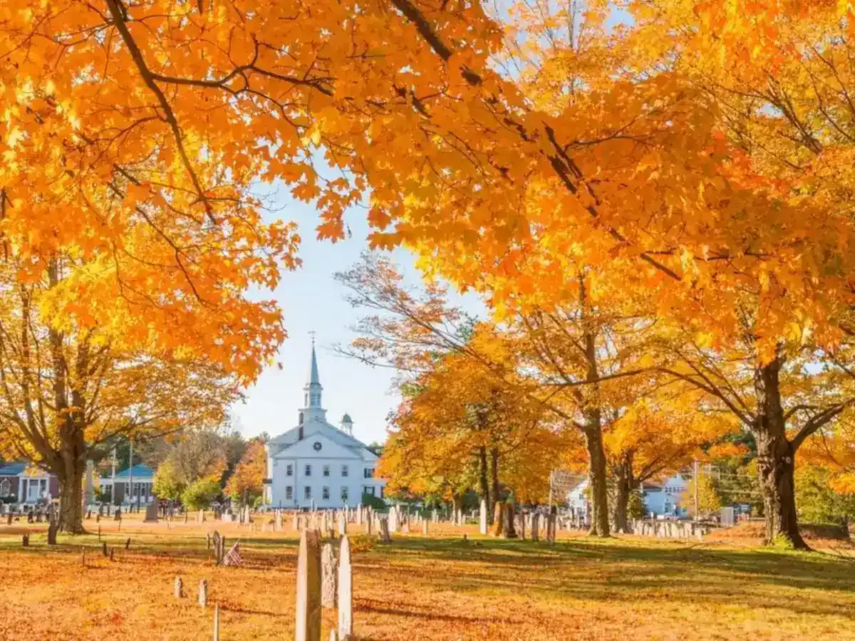 Best Hanover Movers Near Me – Premium Hanover, MA Moving Companies