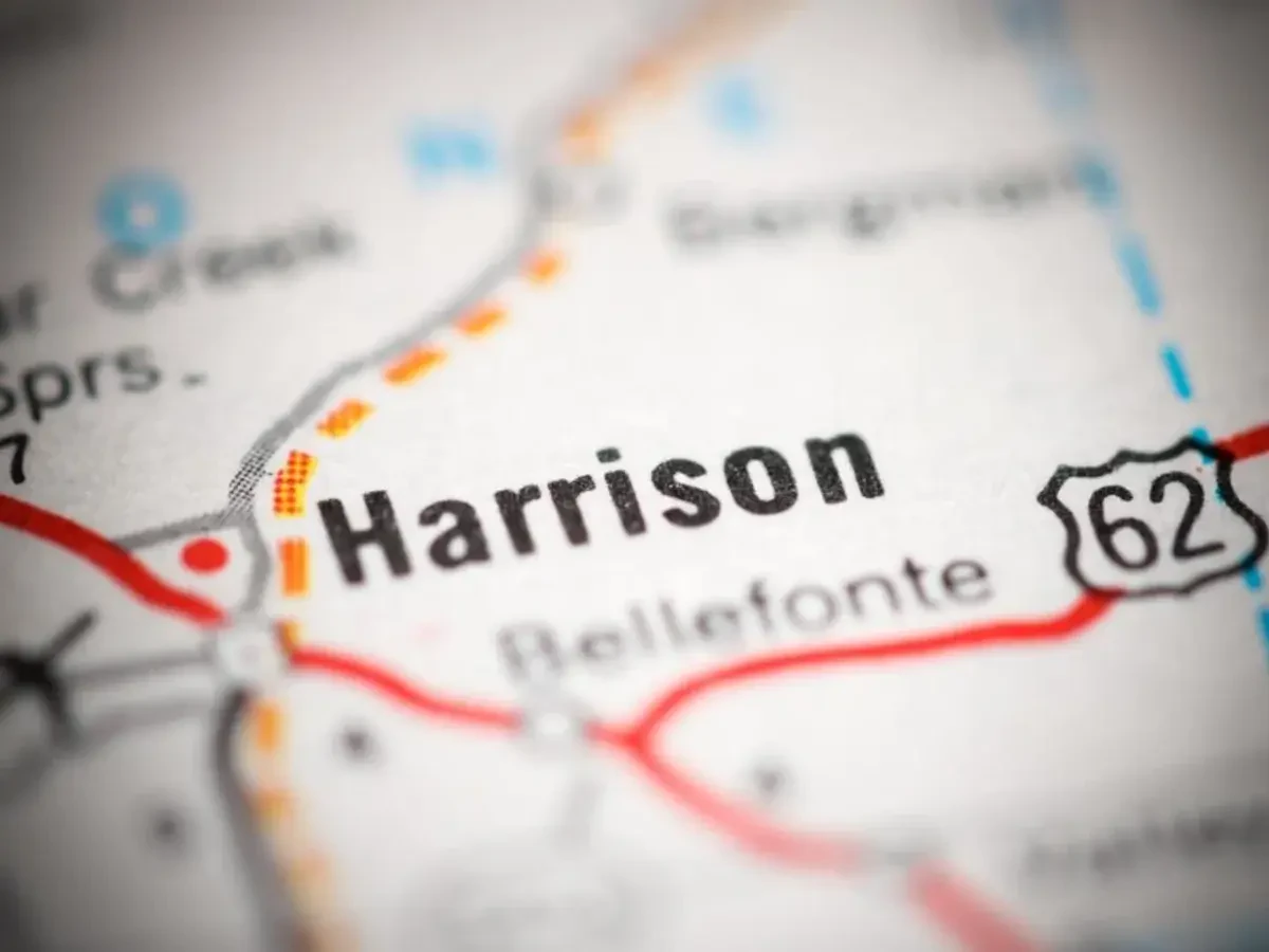 Best Harrison Movers Near Me Premium Moving Companies