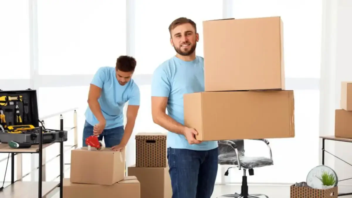 Best Harstine Island Movers Near Me Premium Moving Companies