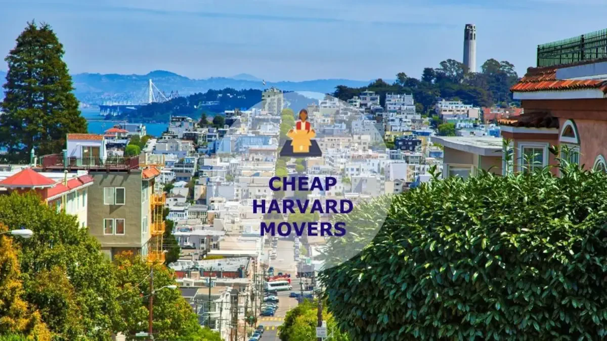 Best Harvard Movers Near Me – Premium Harvard, IL Moving Companies