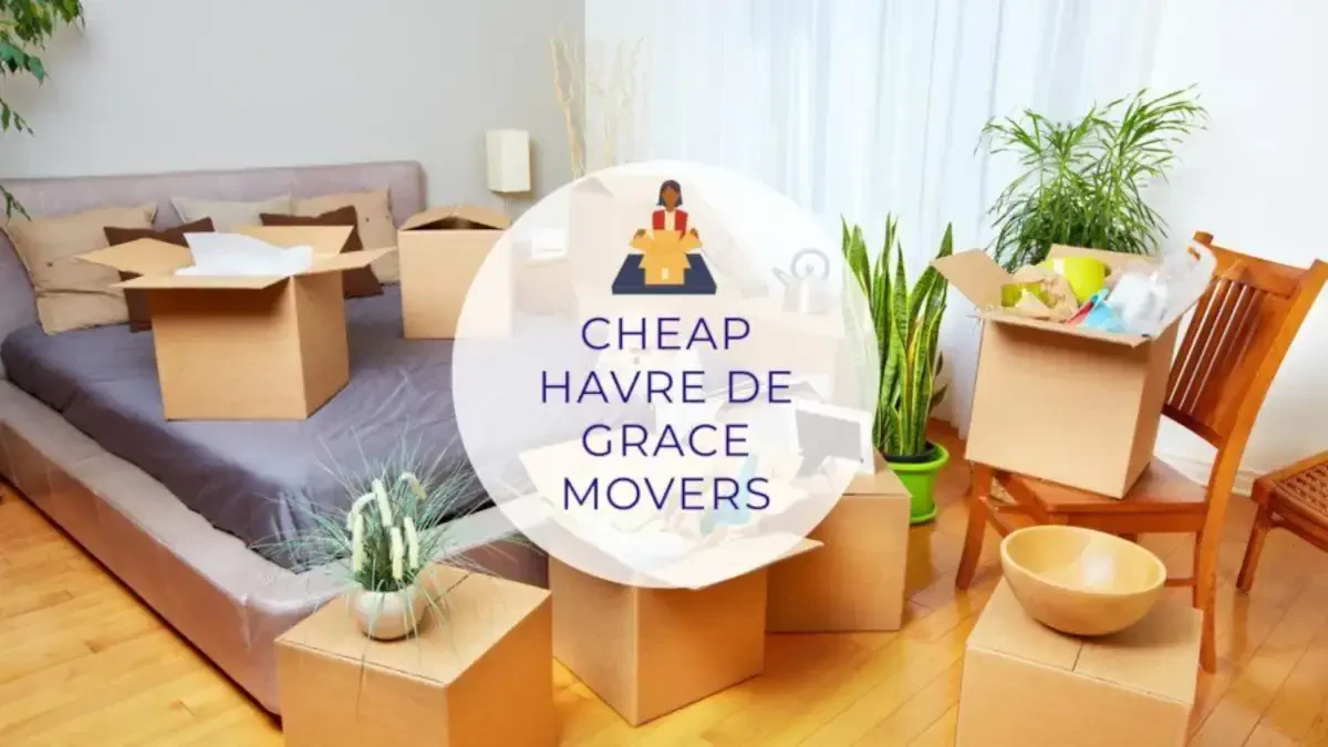 Best Havre De Grace Movers Near Me – Premium Havre De Grace, MD Moving Companies