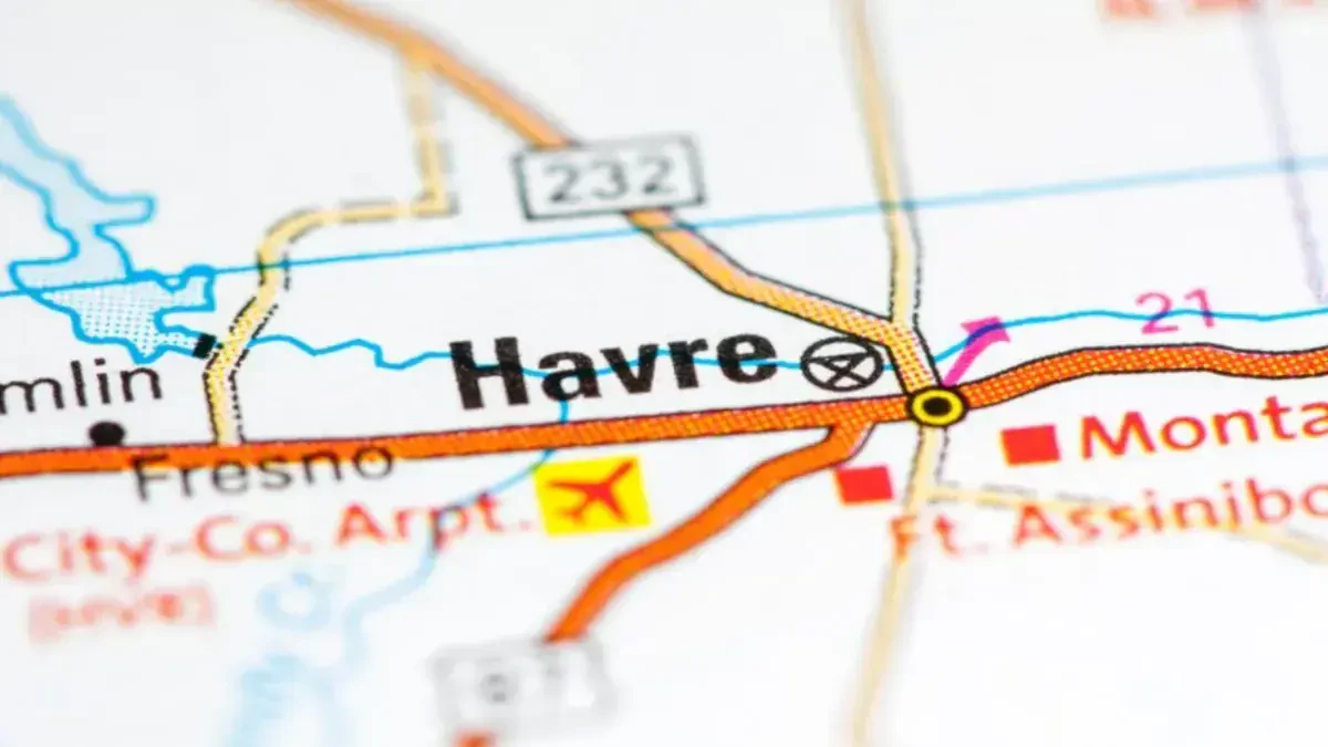 Best Havre Movers Near Me Premium Moving Companies