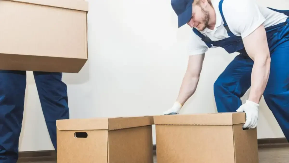 Best Hayward Movers Near Me – Premium Hayward, WI Moving Companies