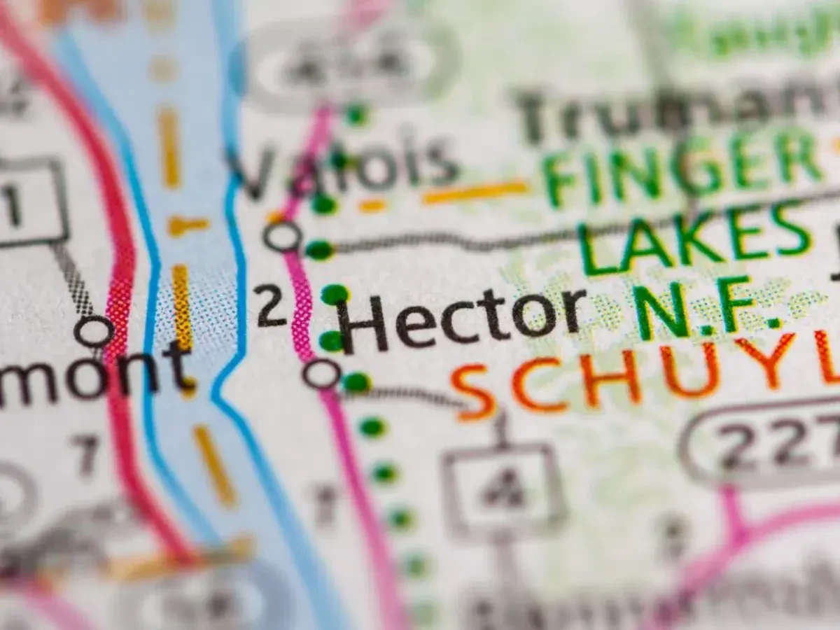 Best Hector Movers Near Me – Premium Hector, NY Moving Companies