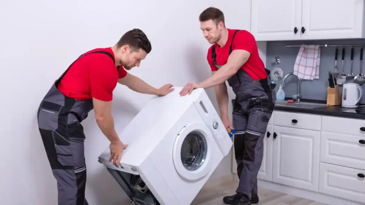 Best Henderson County Movers Near Me – Premium Henderson County, IL Moving Companies