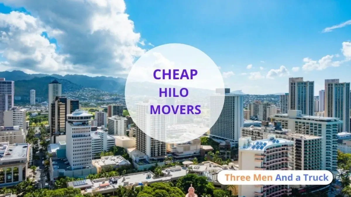 Best Hilo Movers Near Me – Premium Hilo, HI Moving Companies