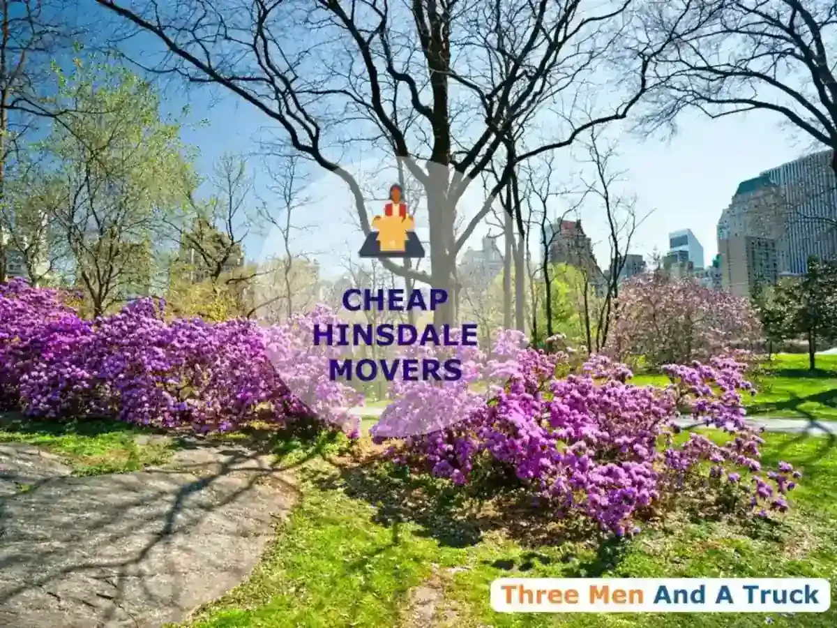 Best Hinsdale Movers Near Me – Premium Hinsdale, IL Moving Companies