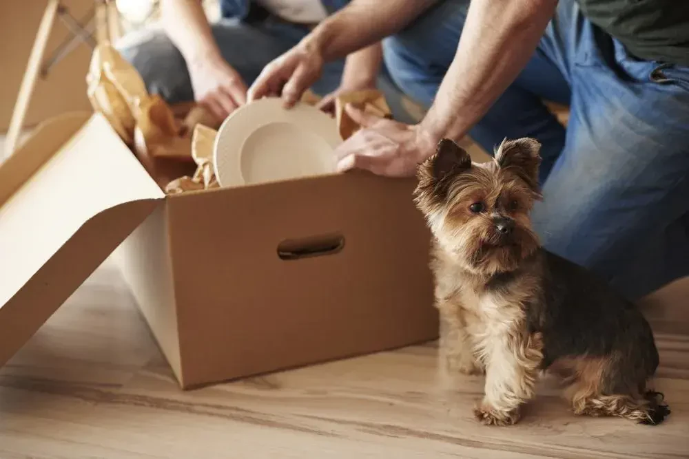 Long Distance Movers In Hoisington, Kansas