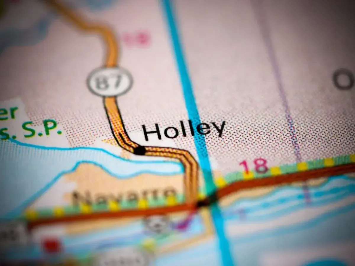 Best Holley Movers Near Me – Premium Holley, FL Moving Companies