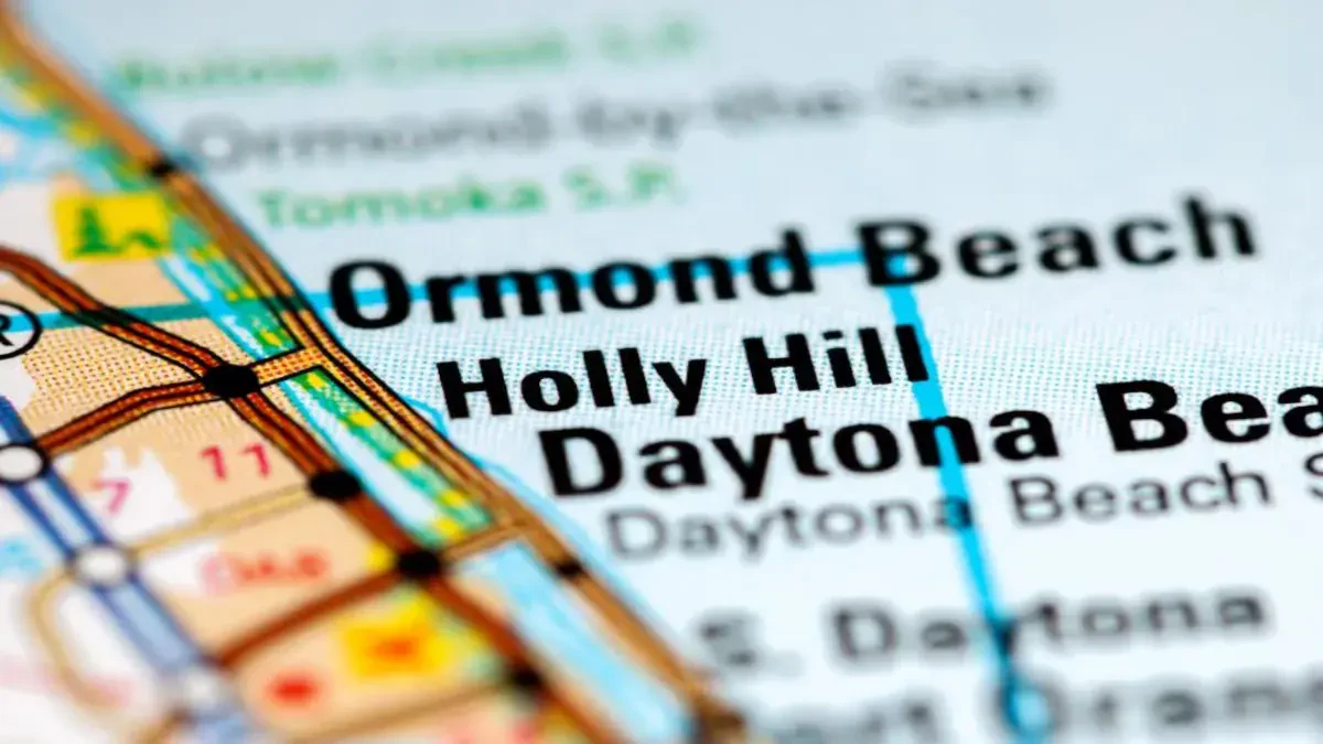 Best Holly Hill Movers Near Me – Premium Holly Hill, FL Moving Companies