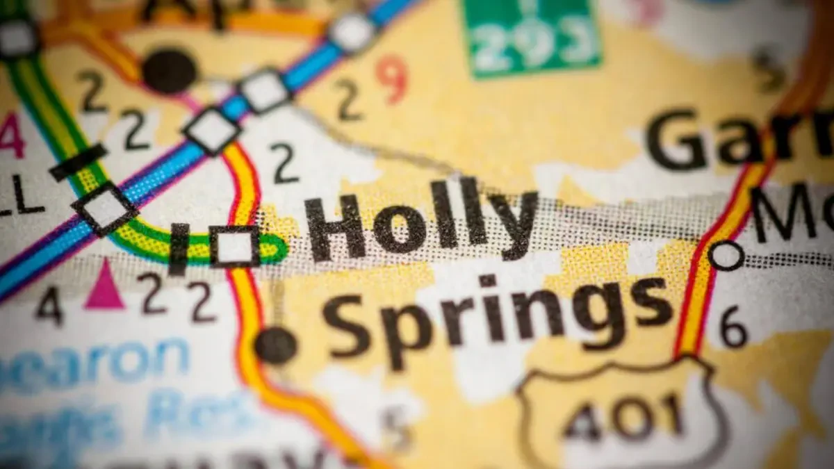 Holly Springs Full Service Movers Near Me