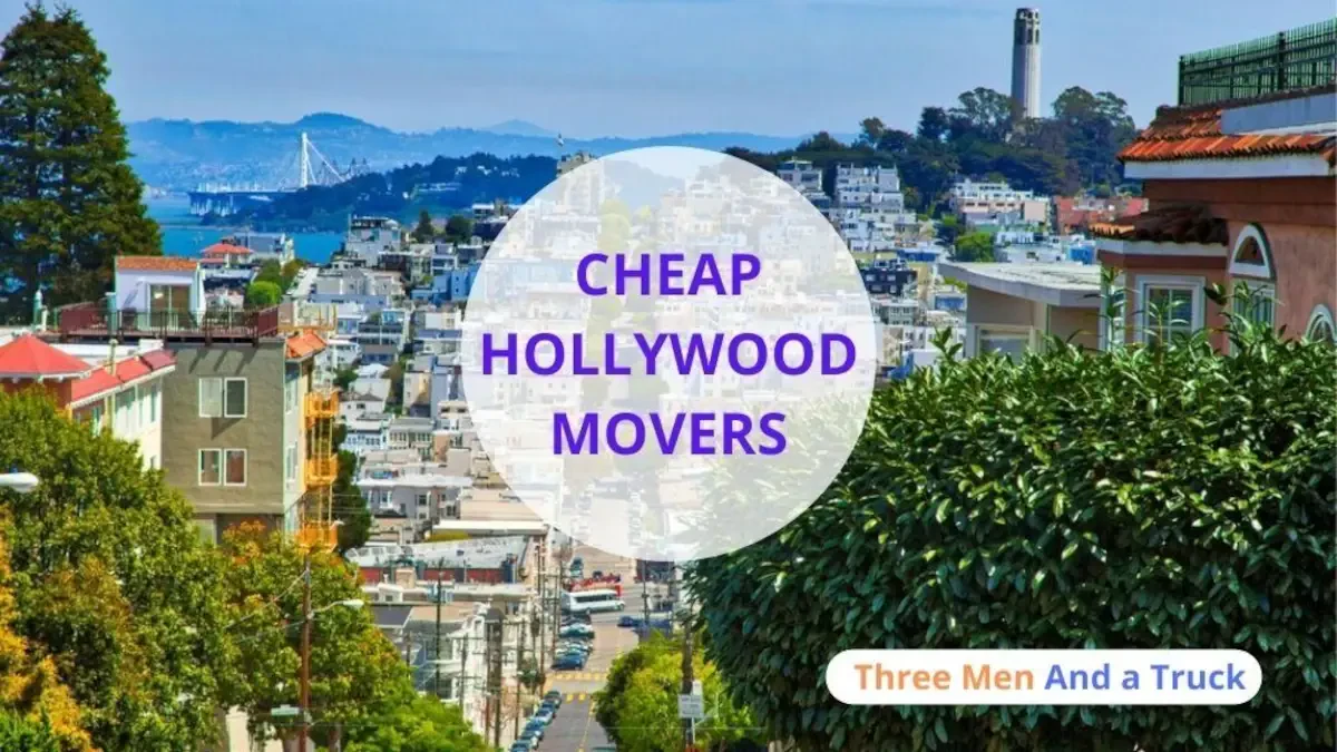 Best Hollywood Movers Near Me with Premium Moving Companies