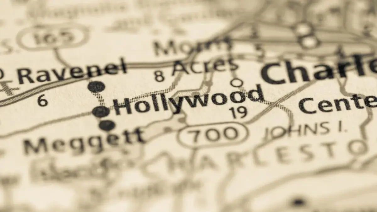 Best Hollywood Movers Near Me – Premium Hollywood, SC Moving Companies