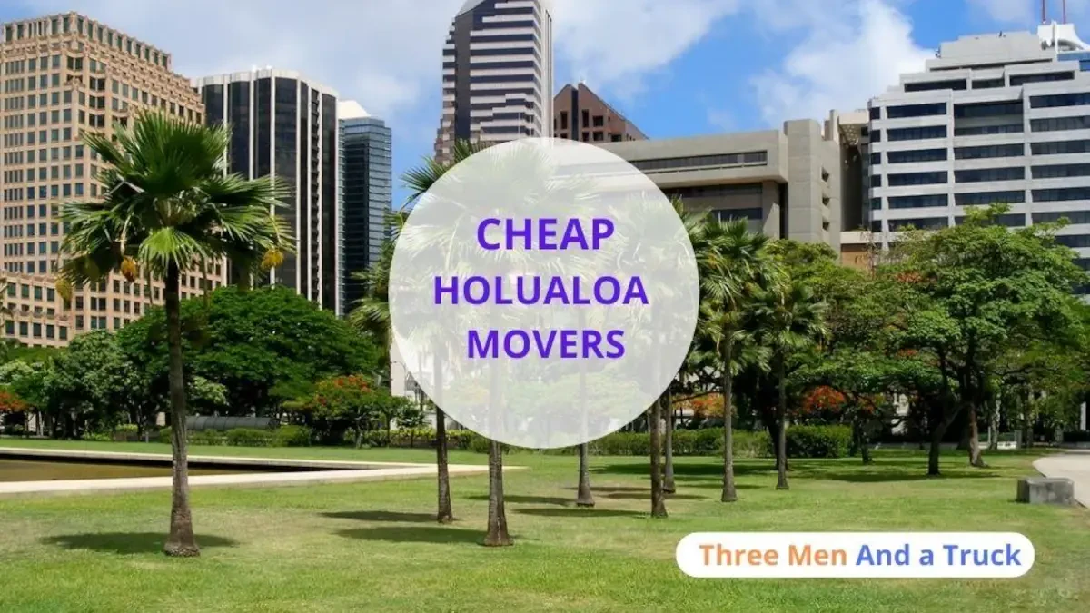 Best Holualoa Movers Near Me – Premium Holualoa, HI Moving Companies