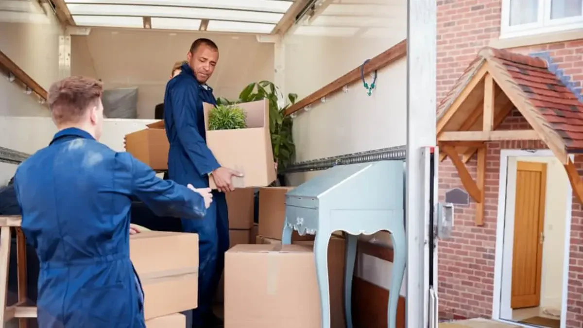 Best Homestead Meadows North Movers Near Me – Premium Homestead Meadows North, TX Moving Companies
