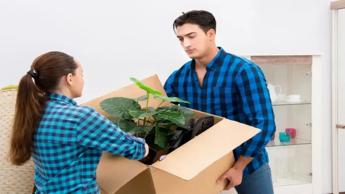Best Hondo Movers Near Me – Premium Hondo, TX Moving Companies