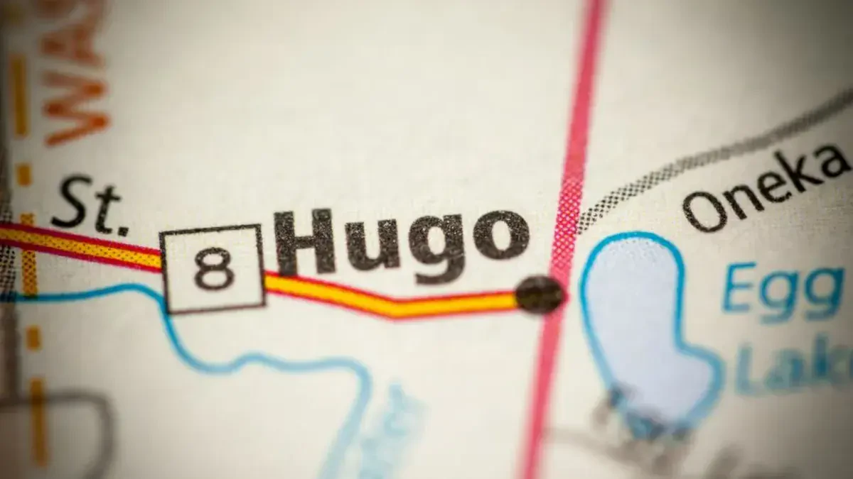 Best Hugo Movers Near Me – Premium Hugo, MN Moving Companies