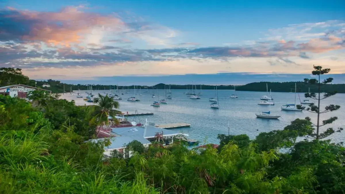 Movers USA to Tonga