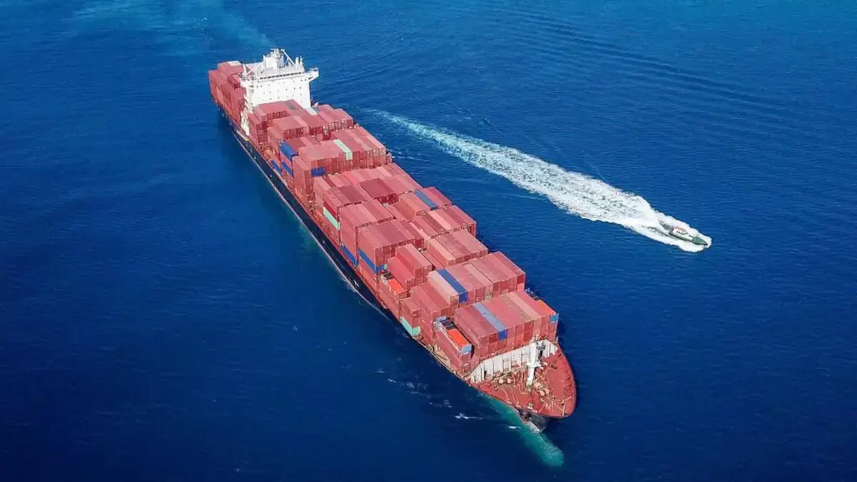 What is the average cost of an international move?