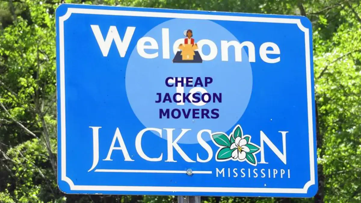 Best Jackson Movers Near Me With Premium Moving Companies