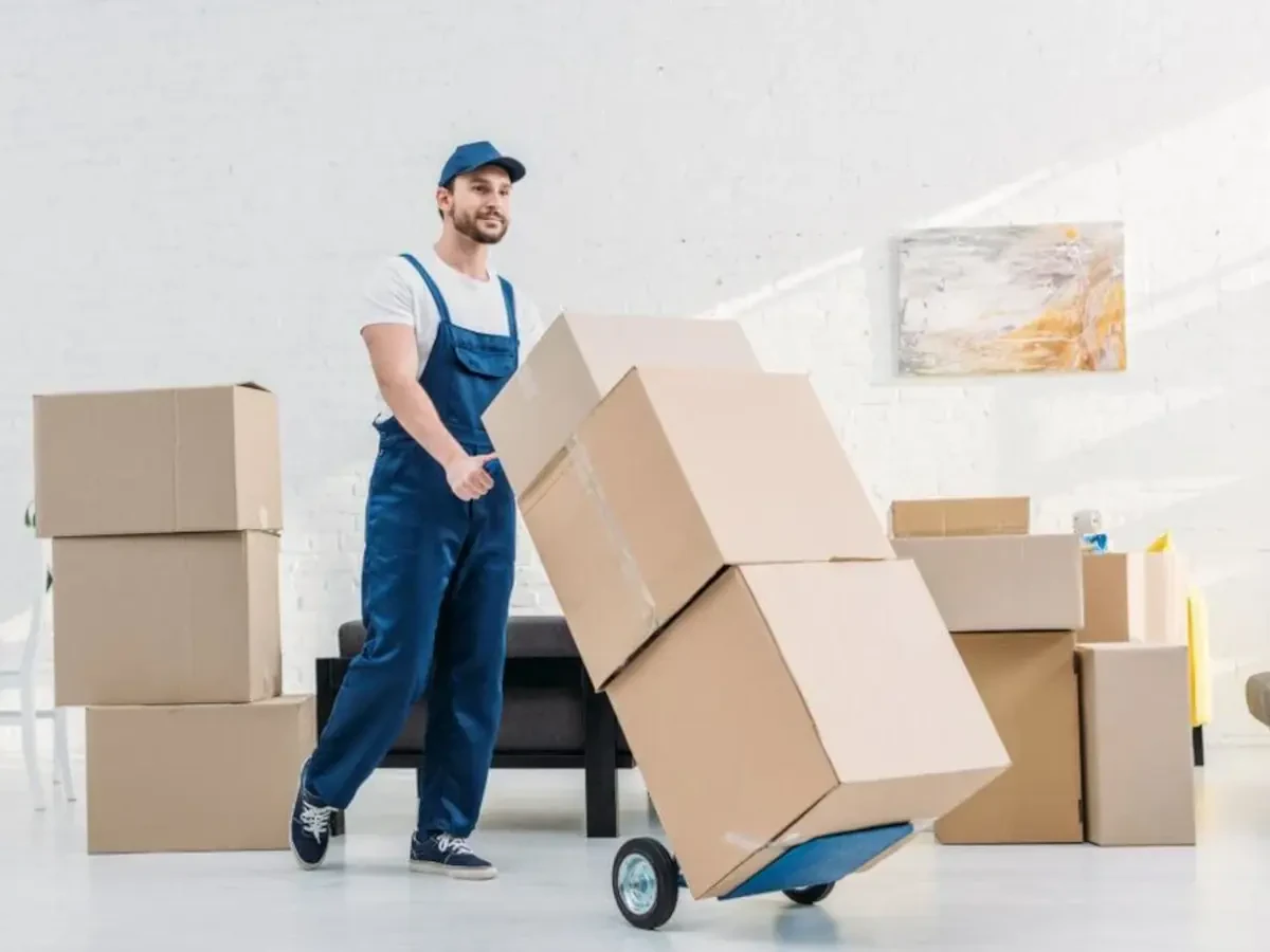 Jacksonville to Brandon Movers Near Me and Moving Companies Cost