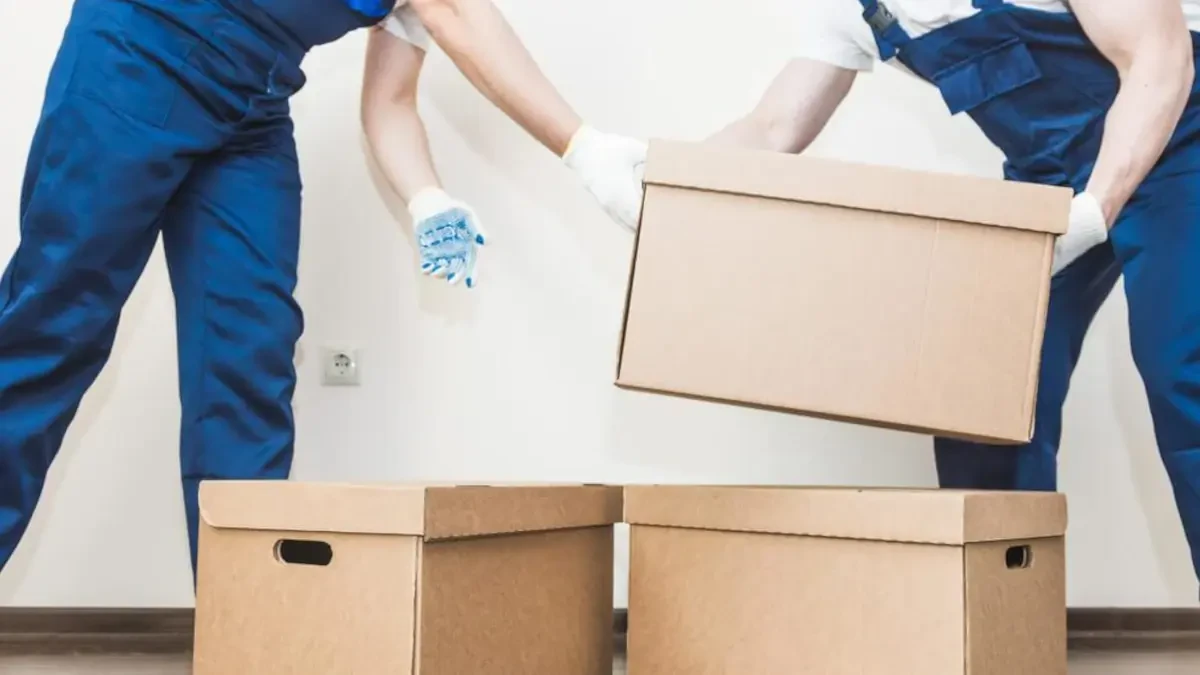 Jacksonville to Doral Movers Near Me Premium Moving Companies Cost