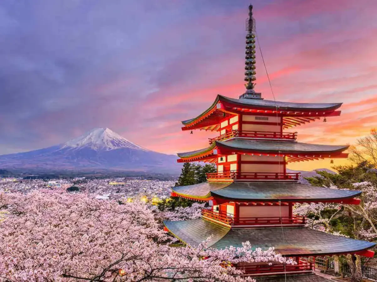 Average Cost Of Japan International Movers Calculator – Japan Overseas Moving Companies Prices & Rates