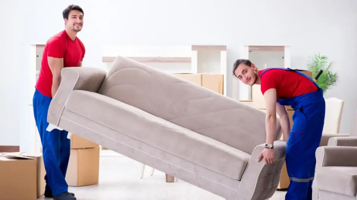 Best Kit Carson County Movers Near Me – Premium Kit Carson County, CO Moving Companies