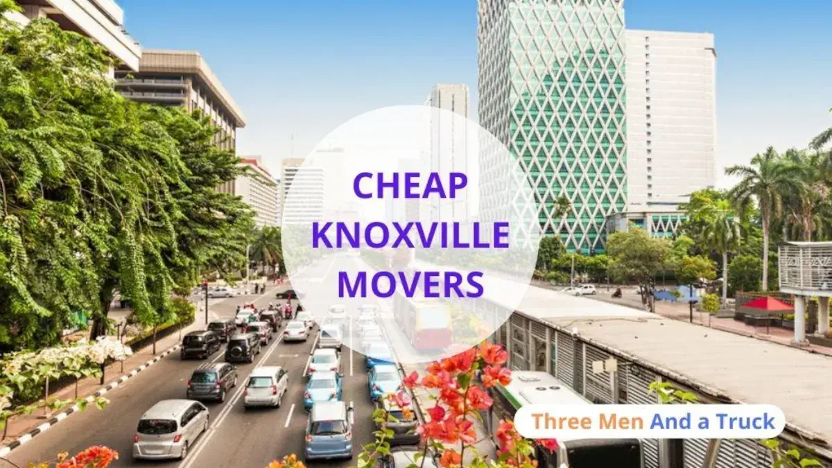 Best Knoxville Movers Near Me Premium and Top Services