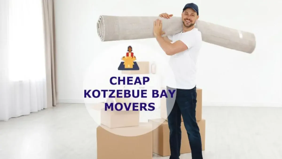 Best Kotzebue Bay Movers Near Me – Premium Kotzebue Bay, AK Moving Companies