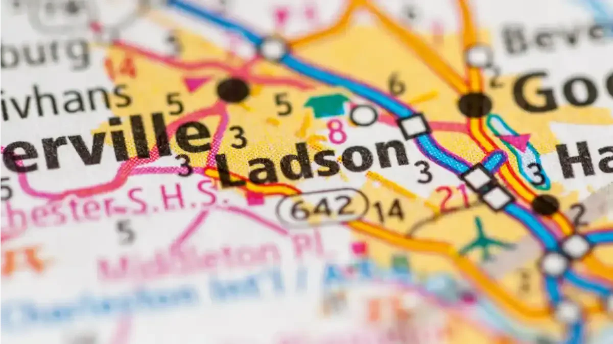 Best Ladson Movers Near Me Premium Moving Companies