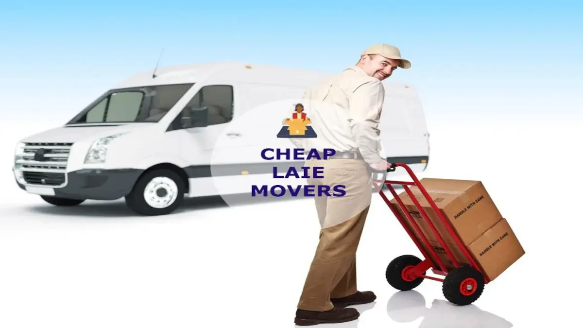 Best Laie Movers Near Me – Premium Laie, HI Moving Companies