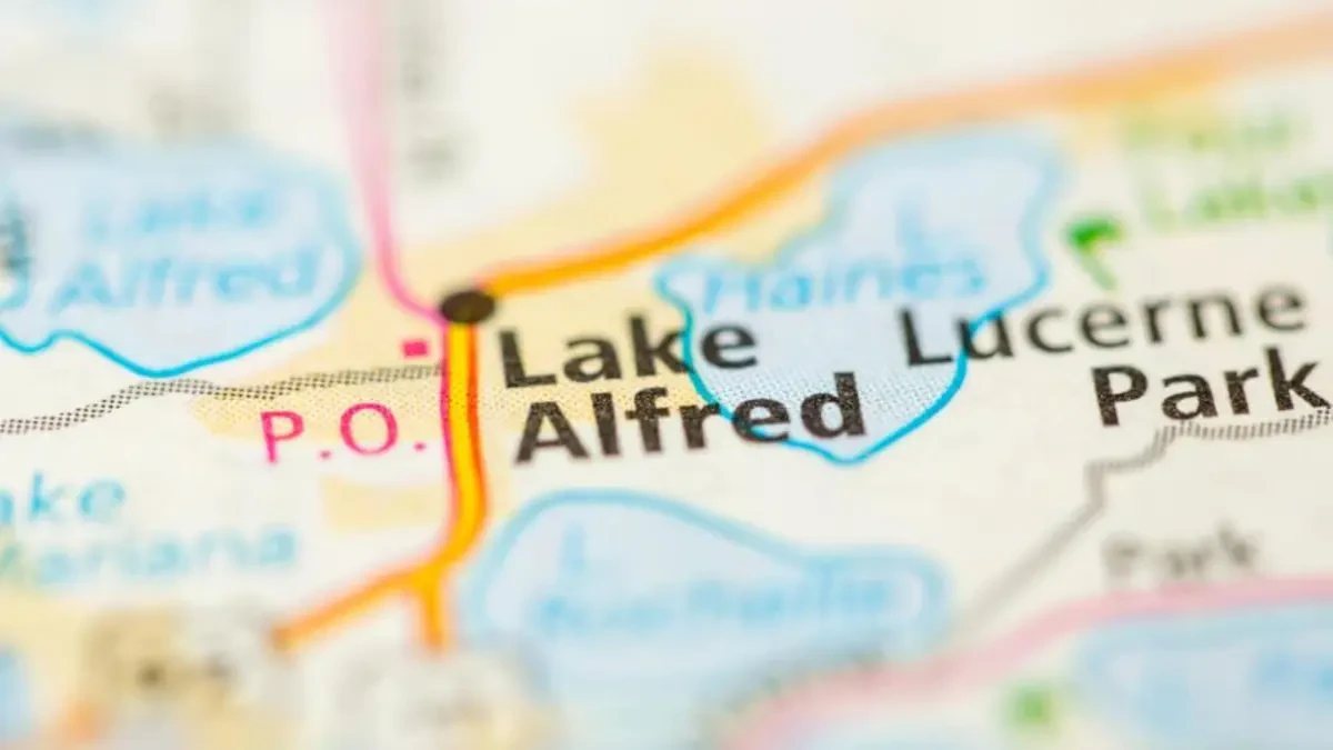 Best Lake Alfred Movers Near Me – Premium Lake Alfred, FL Moving Companies