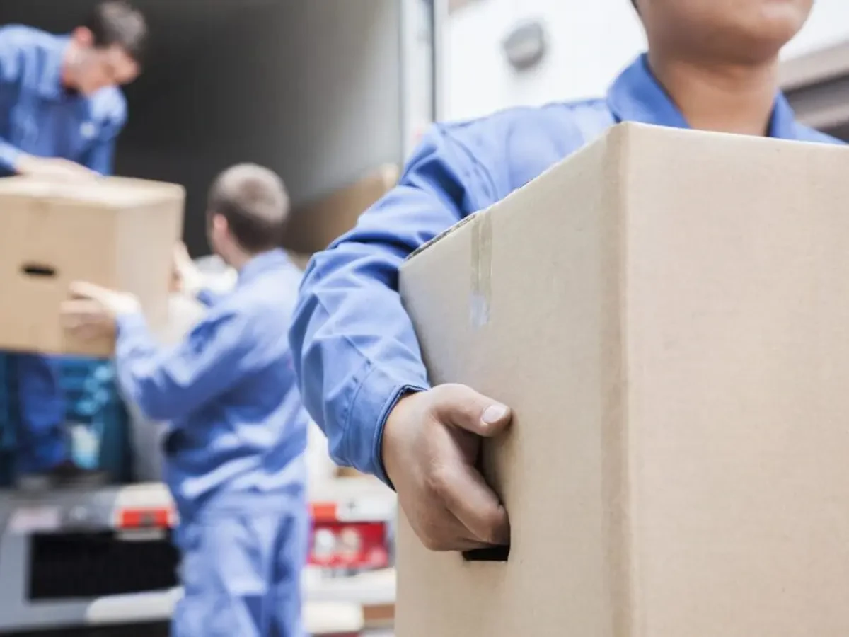 Best Lake Shore Movers Near Me – Premium Lake Shore, WA Moving Companies