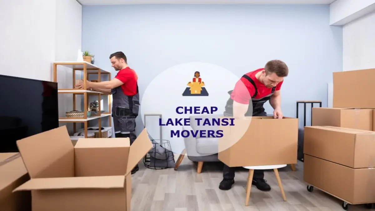 Best Lake Tansi Movers Near Me – Premium Lake Tansi, TN Moving Companies