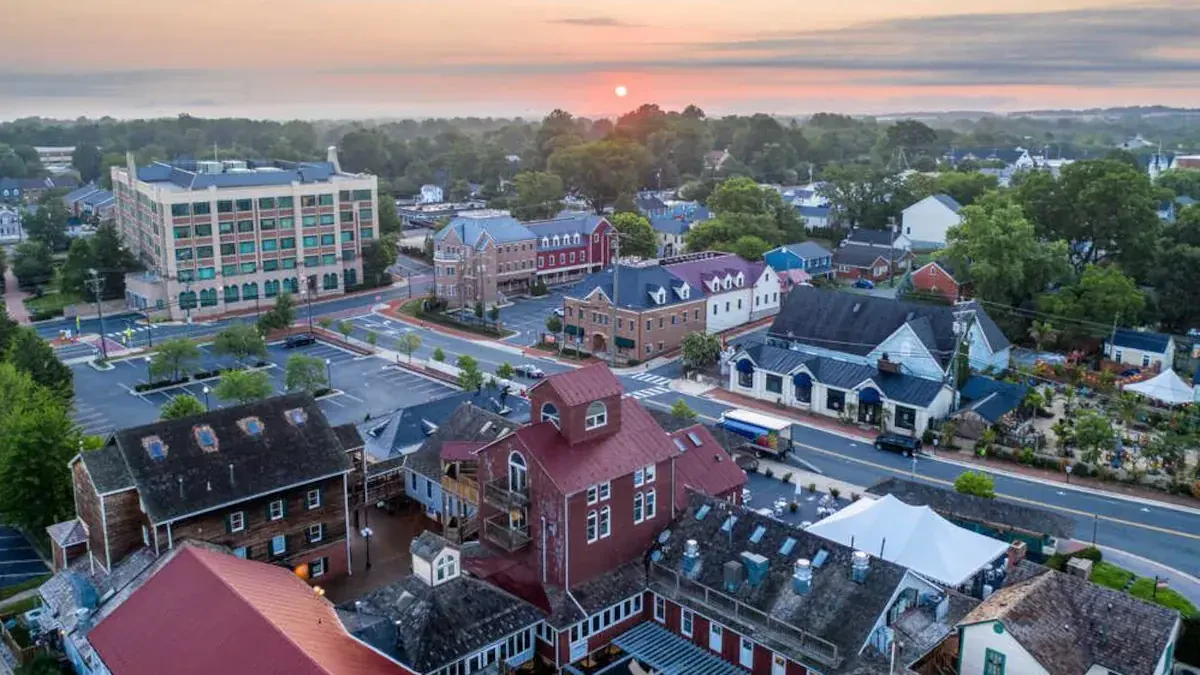 Leesburg Full Service Movers Near Me