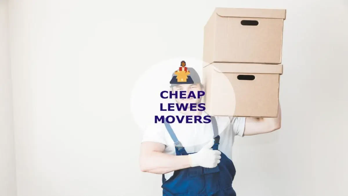 Best Lewes Movers Near Me Premium Moving Companies
