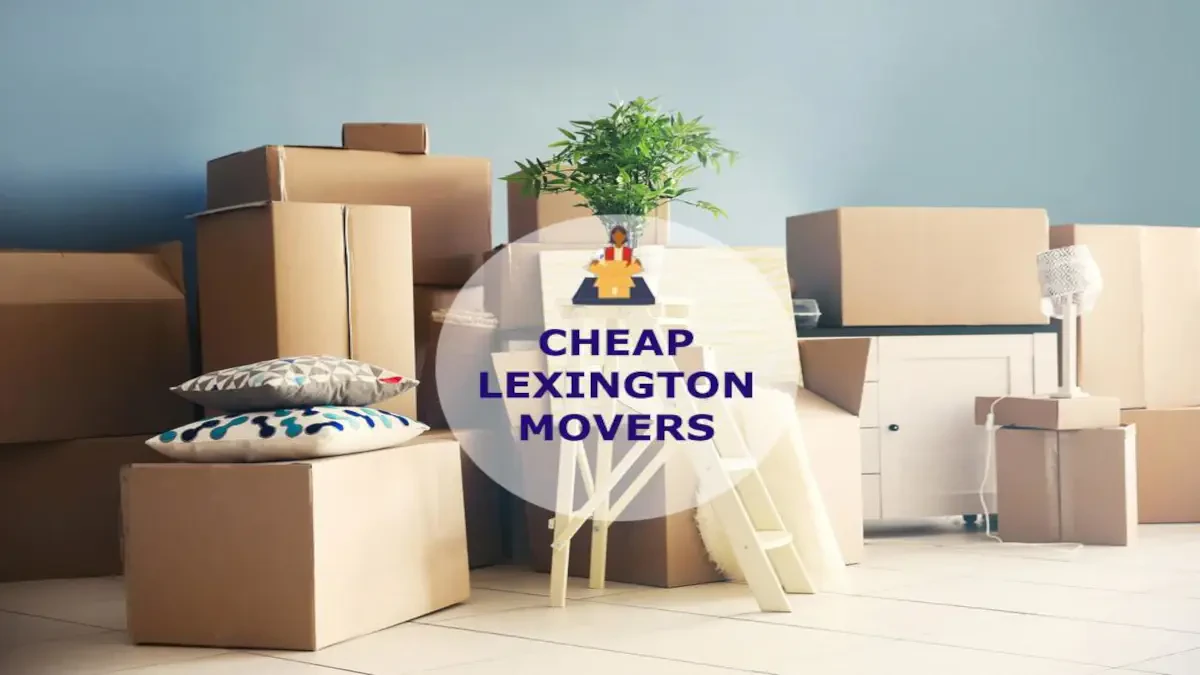 Best Lexington Movers Near Me – Premium Lexington, SC Moving Companies