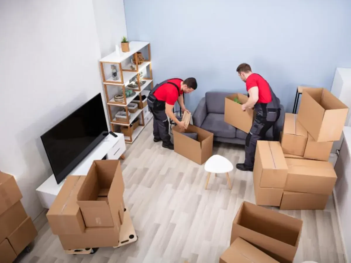 Best Lino Lakes Movers Near Me Premium Moving Companies