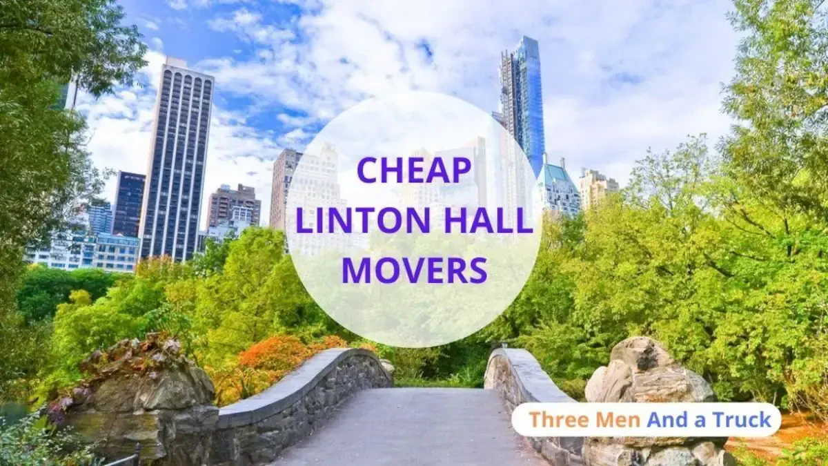 Best Linton Hall Movers Near Me – Premium Linton Hall, VA Moving Companies