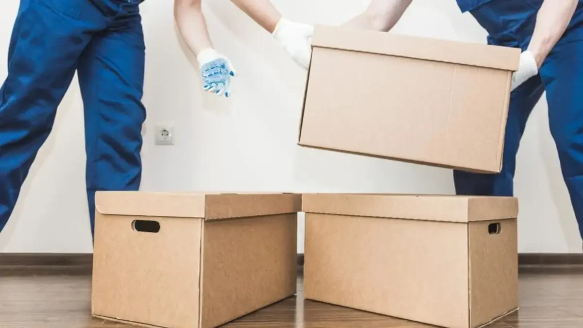 Best Litchfield County Movers Near Me Premium Moving Companies