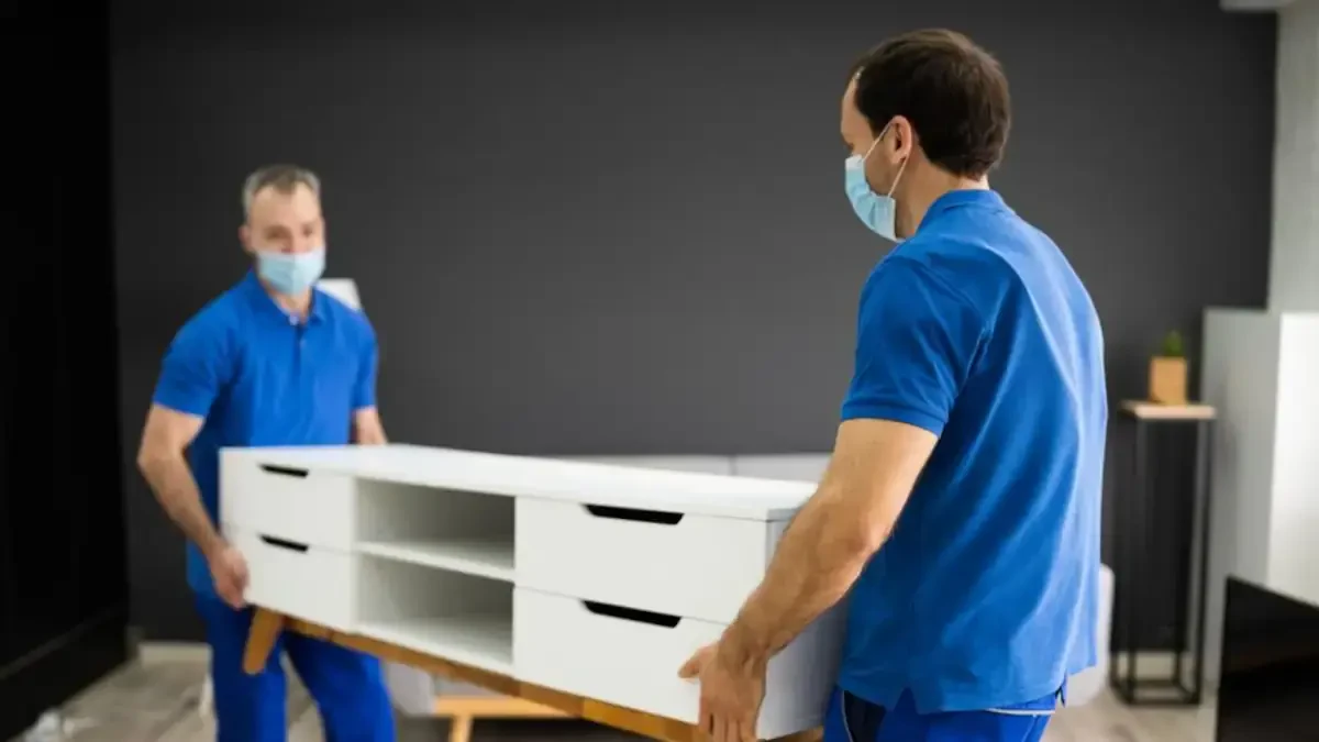 Best Live Oak CDP Movers Near Me – Premium Live Oak CDP, CA Moving Companies