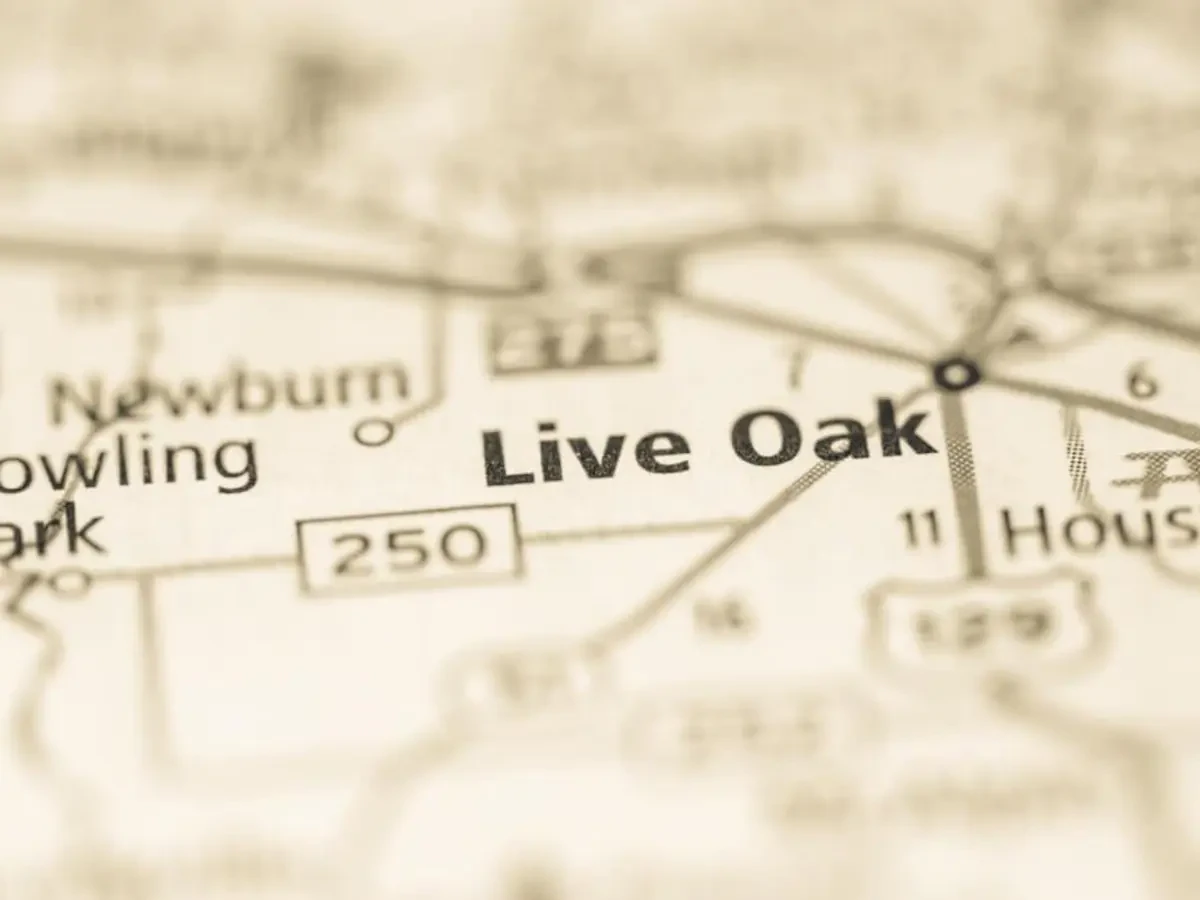 Best Live Oak Movers Near Me – Premium Live Oak, FL Moving Companies